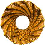 8 6 BN nanotube
